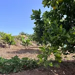 Perejil Rural House Views Jacuzzi *